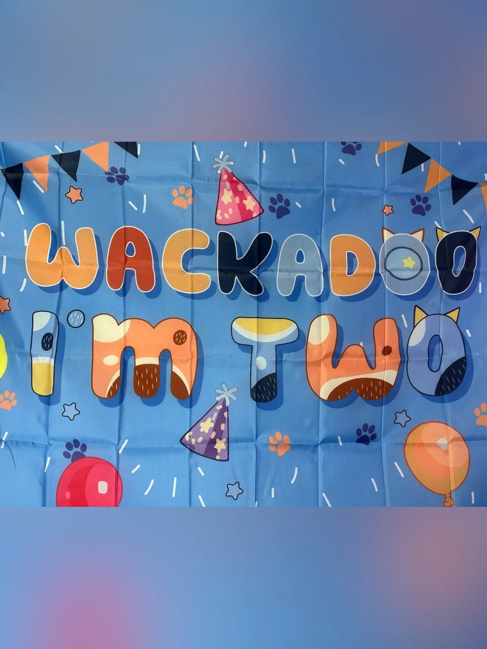 Bluey Theme “Wackadoo I’m Two Birthday Backdrop Banner 5x3